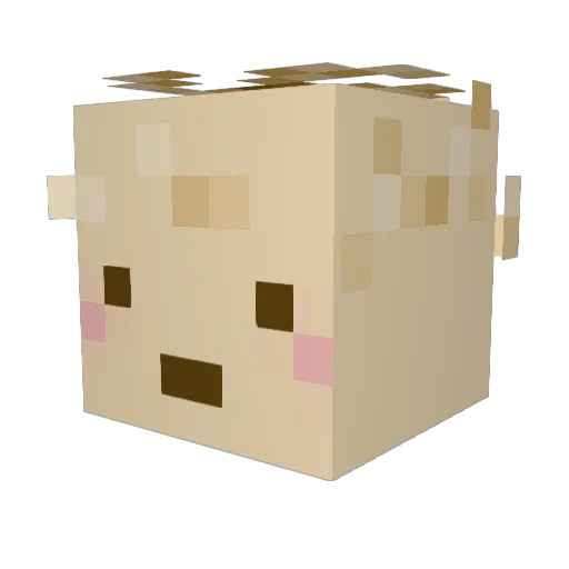 Funnelcake14 Minecraft avatar head, 3D render