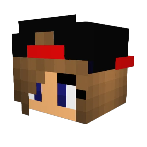 Funny14224 Minecraft avatar head, 3D render