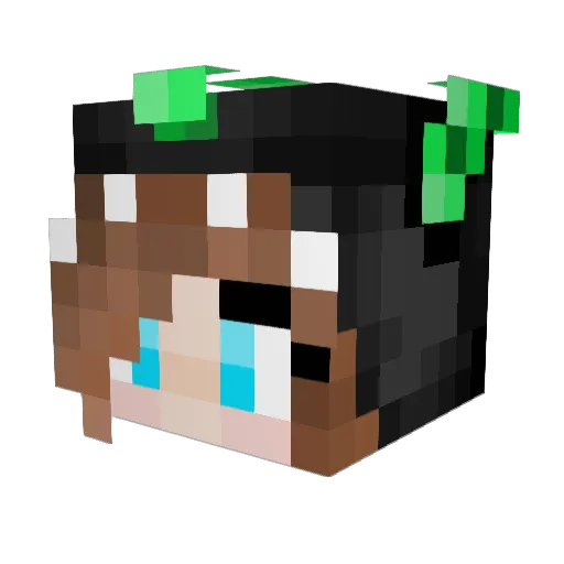 Funny1818 Minecraft avatar head, 3D render