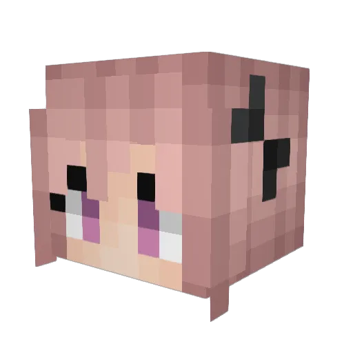 Funny777 Minecraft avatar head, 3D render