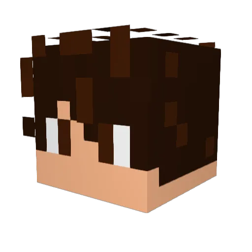 FunnyBaker993 Minecraft avatar head, 3D render
