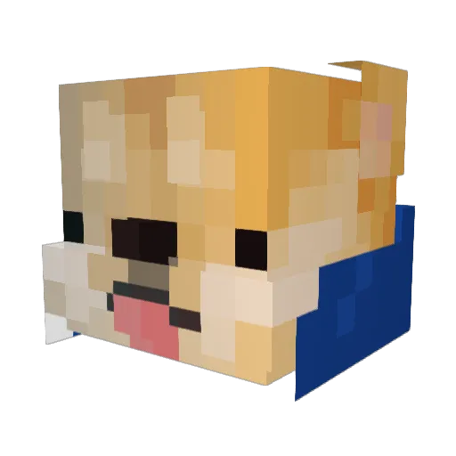 FunnyEgg008 Minecraft avatar head, 3D render