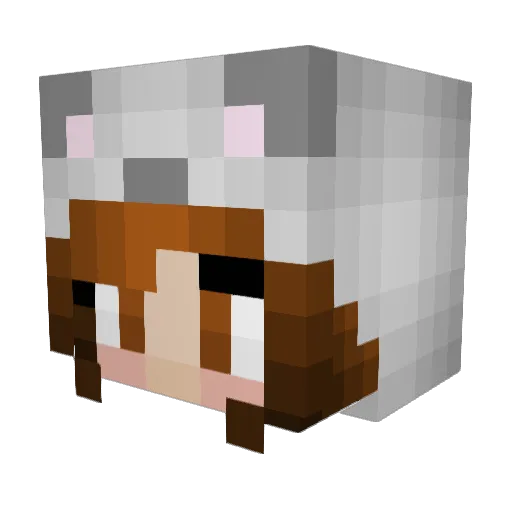FunnyFox5 Minecraft avatar head, 3D render