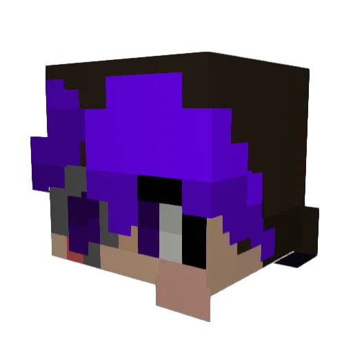 FunnyFoxTX Minecraft avatar head, 3D render