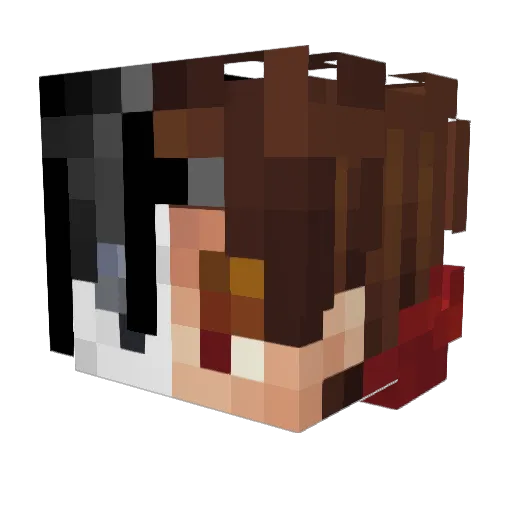 FunnyFreshDude Minecraft avatar head, 3D render