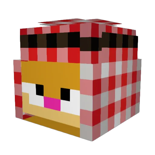 FunnyGamerMoment Minecraft avatar head, 3D render
