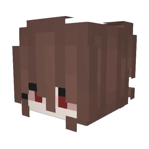 FunnyJane Minecraft avatar head, 3D render