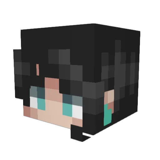 FunnyMonkey1518 Minecraft avatar head, 3D render