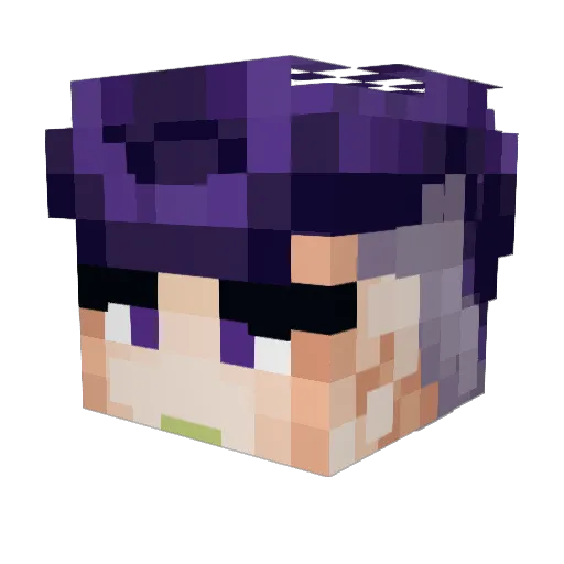 FunnyName00 Minecraft avatar head, 3D render