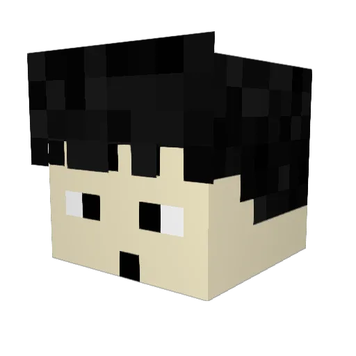 FunnyOsprey296 Minecraft avatar head, 3D render