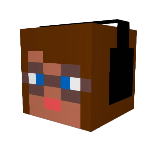 FunnyPop98 Minecraft avatar head, 3D render