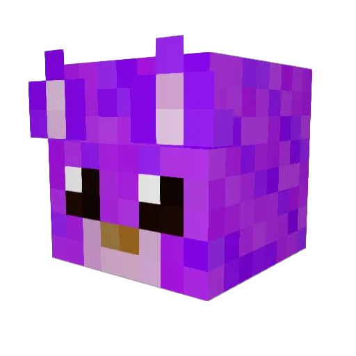 FunnyPurpleCat Minecraft avatar head, 3D render