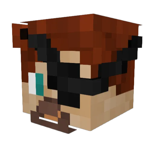 Funny_Dolphin Minecraft avatar head, 3D render