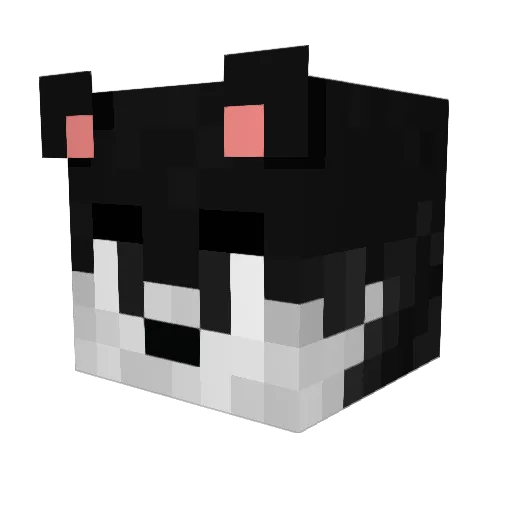 Funny_Lubry Minecraft avatar head, 3D render