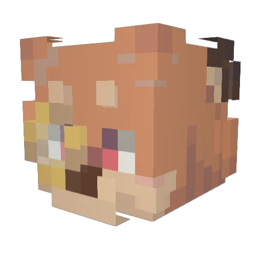 Funny_Manz1D Minecraft avatar head, 3D render