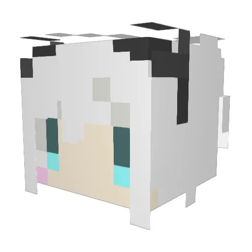 Funny__Turtle Minecraft avatar head, 3D render