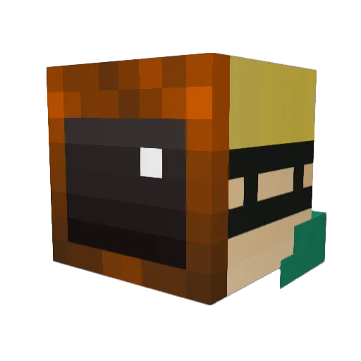 Funny_boy007 Minecraft avatar head, 3D render