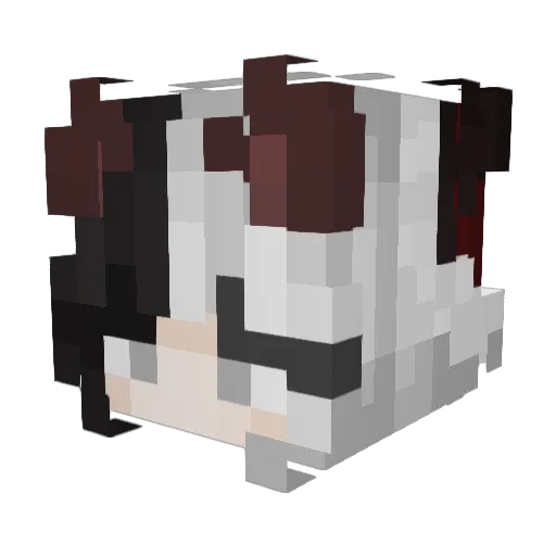 Funny_buny Minecraft avatar head, 3D render