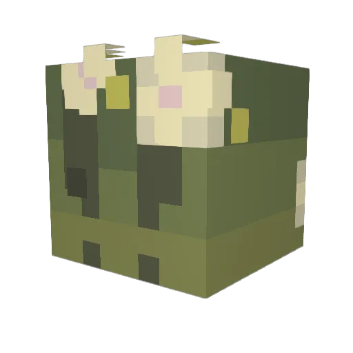 Funny_here Minecraft avatar head, 3D render