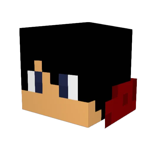 Funny_noob24 Minecraft avatar head, 3D render