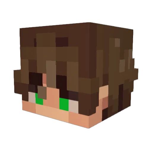 Funnysage2978 Minecraft avatar head, 3D render