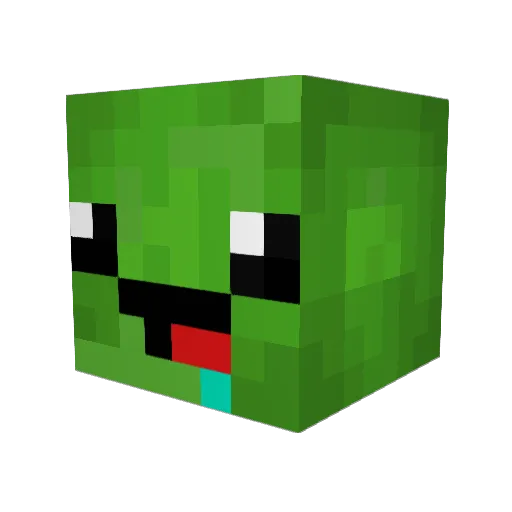 Funnyturtlekid Minecraft avatar head, 3D render