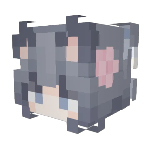 Funnyyyyyyyyyyyy Minecraft avatar head, 3D render