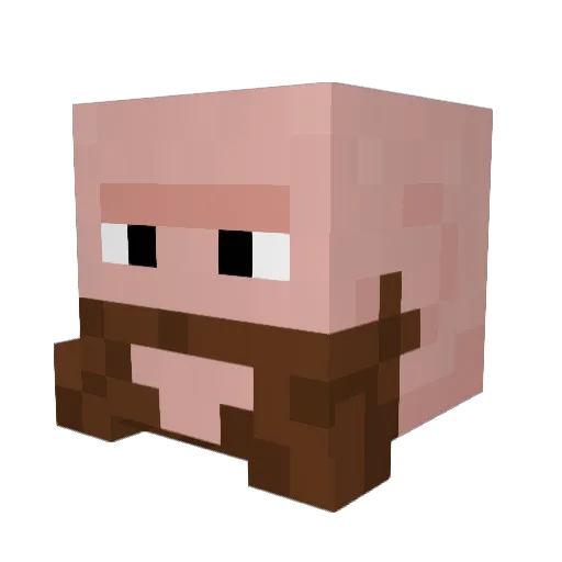 Funpants123 Minecraft avatar head, 3D render