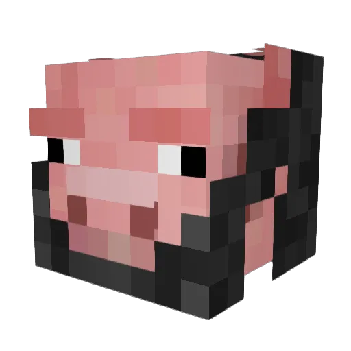Funpiggy145 Minecraft avatar head, 3D render