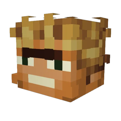 Funrite Minecraft avatar head, 3D render