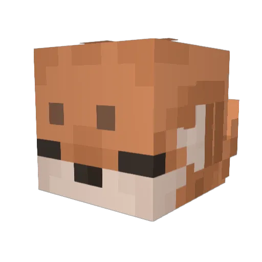 FunsulYT Minecraft avatar head, 3D render