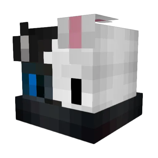 Funtime7093 Minecraft avatar head, 3D render