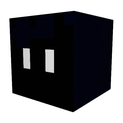 Funtime96 Minecraft avatar head, 3D render