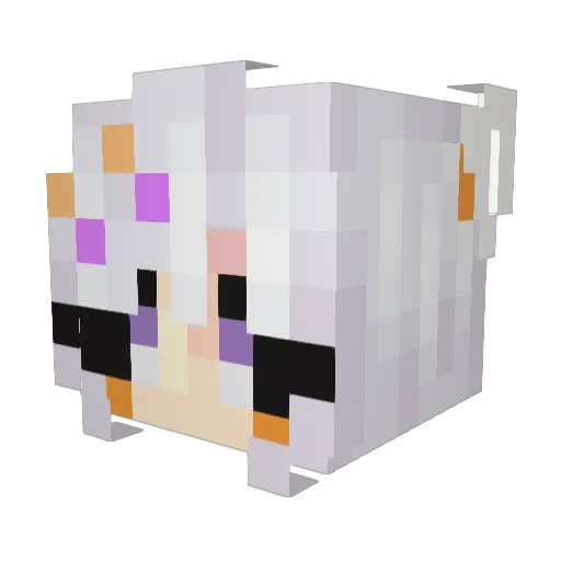 Funtime_FoxyGuy Minecraft avatar head, 3D render