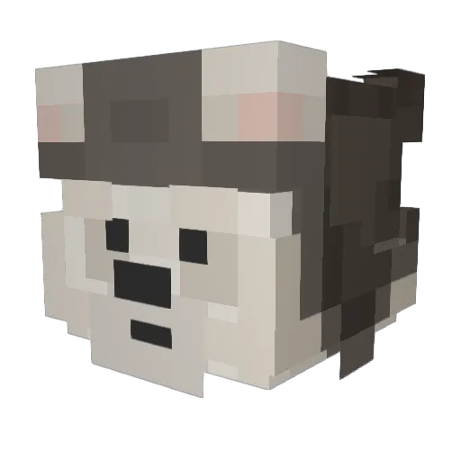 Funtimeleo4 Minecraft avatar head, 3D render