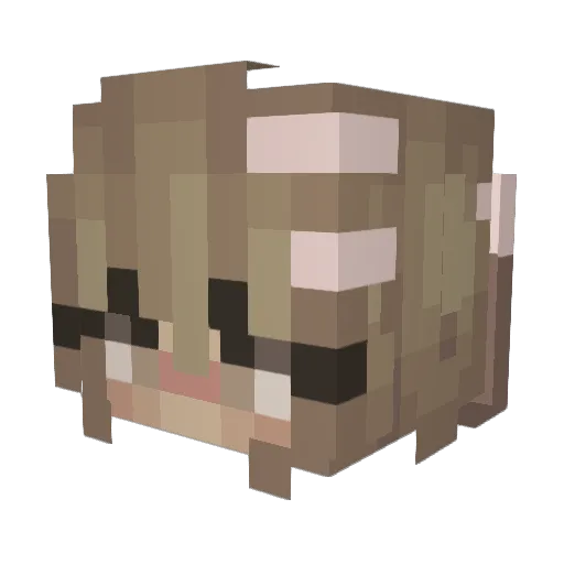 Fununikitty08 Minecraft avatar head, 3D render