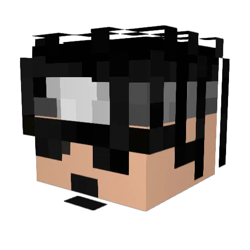 Fupnew Minecraft avatar head, 3D render