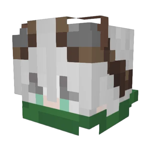 Fupow Minecraft avatar head, 3D render