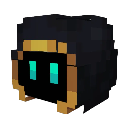Furaxit Minecraft avatar head, 3D render
