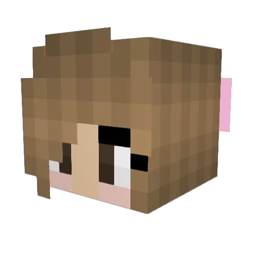 Furia06 Minecraft avatar head, 3D render