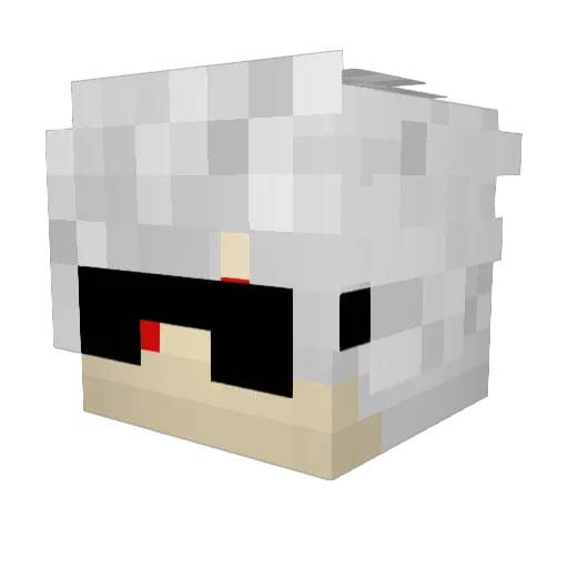 Furia_RX Minecraft avatar head, 3D render
