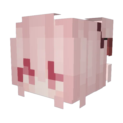 Furina_oO Minecraft avatar head, 3D render