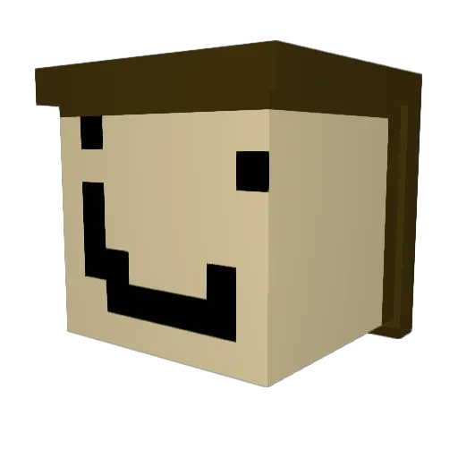 Furious8000 Minecraft avatar head, 3D render