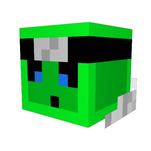 FuriousCheater Minecraft avatar head, 3D render