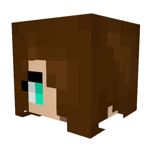 FuriousDragon678 Minecraft avatar head, 3D render