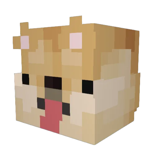 FuriousFire1120 Minecraft avatar head, 3D render