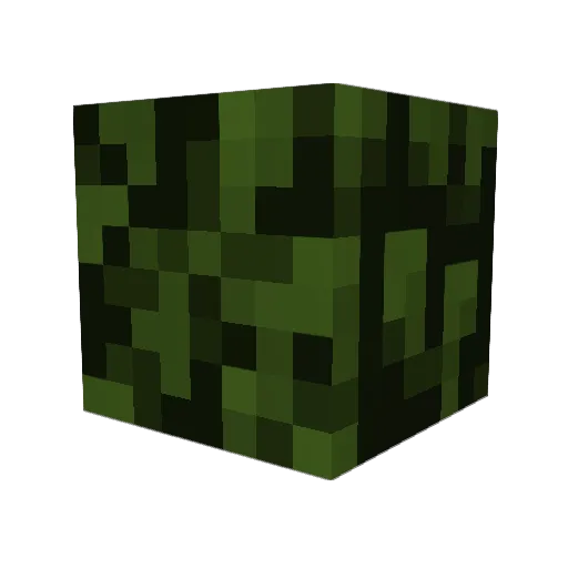 FuriousPanda1up Minecraft avatar head, 3D render