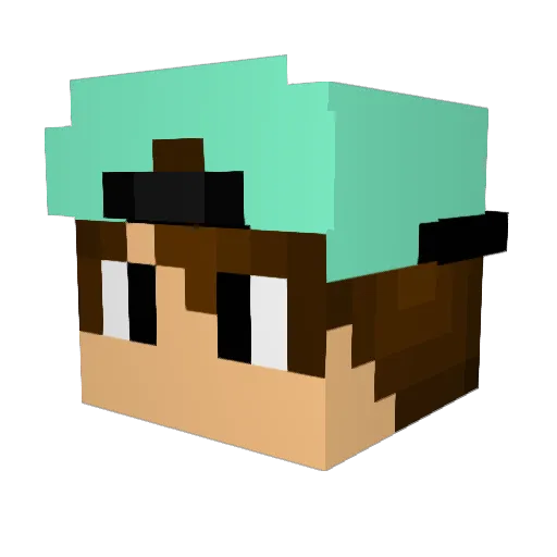 FuriousTiger418 Minecraft avatar head, 3D render