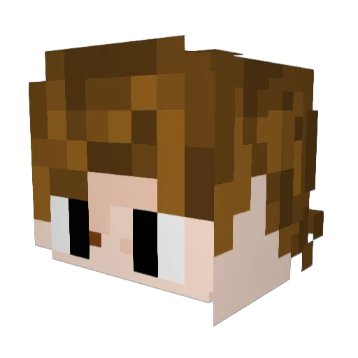 Furious_Phoenix_ Minecraft avatar head, 3D render