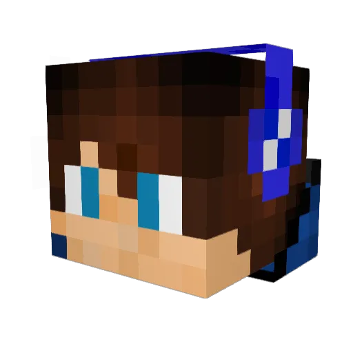 Furiousbeast070 Minecraft avatar head, 3D render